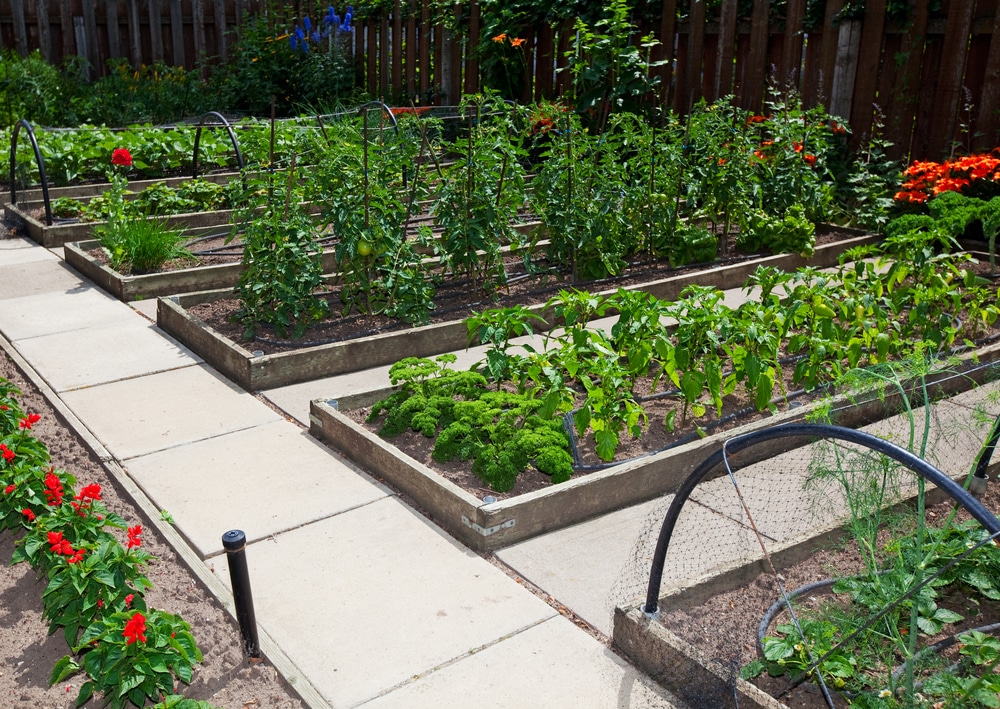 How to Build a Raised Garden Bed