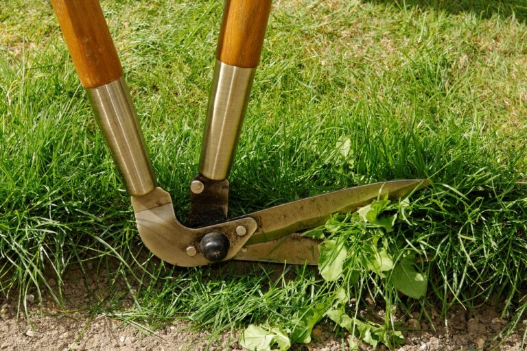 Edging Shears vs Strimmer: Which Is Best for Your Garden?